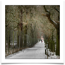 dunham park snow - Alan Taylor.